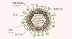 這個號稱“天下第一痛”的疾病又來了，提前做