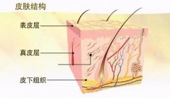 夏末秋初，免疫力低的人最易染上這6大皮膚病